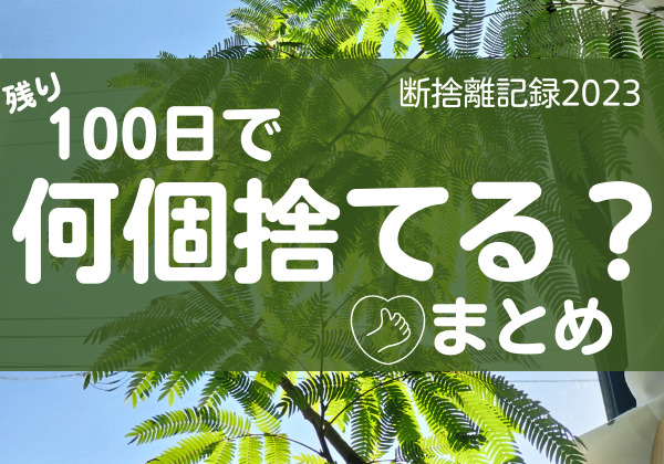 100日で何個捨てる？まとめ