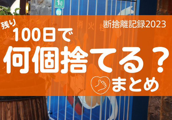 100日で何捨てる？ズボラな自分を肯定しながら手放す。断捨離記録6日目まとめ