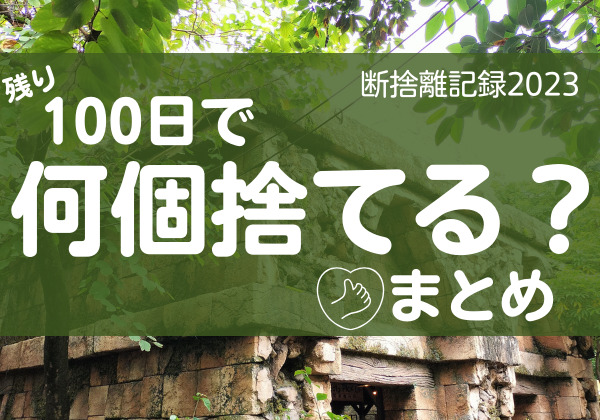 100日で何個捨てる？まとめ