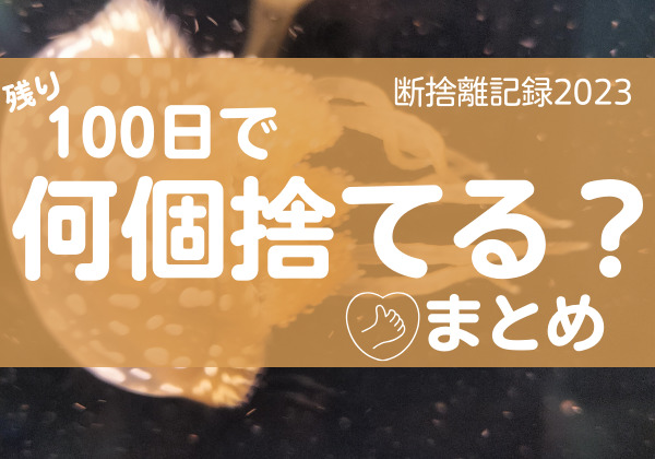 100日で何捨てる？