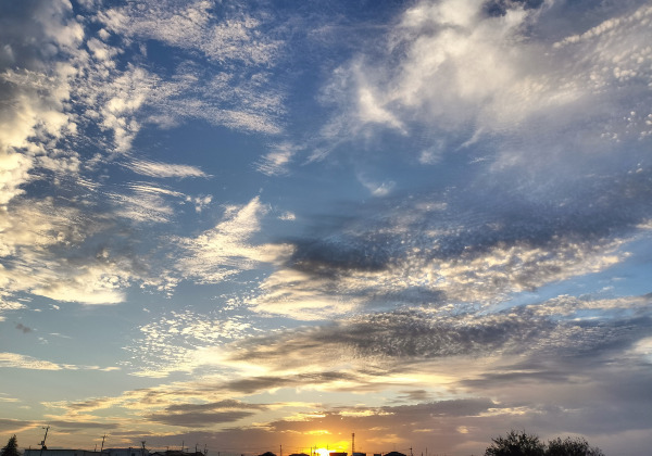 夕方のお散歩