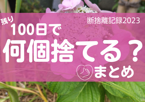 100日で何捨てる？