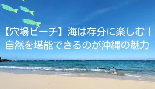 海は存分に楽しむ！自然を堪能できるのが沖縄の魅力