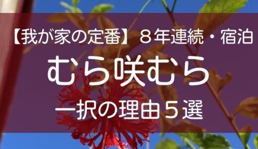 【我が家の定番】８年連続・宿泊はむら咲むら一択の理由５選