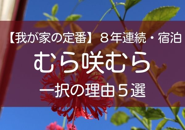 むら咲むらを選ぶ理由５選