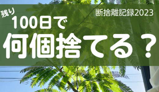 100日で何捨てる？年末までにスッキリ生活を目指す！断捨離記録1日目