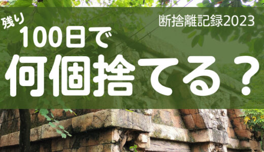 100日で何捨てる？断捨離はお金を捨ててるのと一緒！痛みを伴う断捨離記録2日目