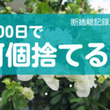 100日で何捨てる？物や思いには旬があることを知る。断捨離記録