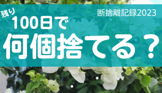 100日で何捨てる？物や思いには旬があることを知る。断捨離記録3日目