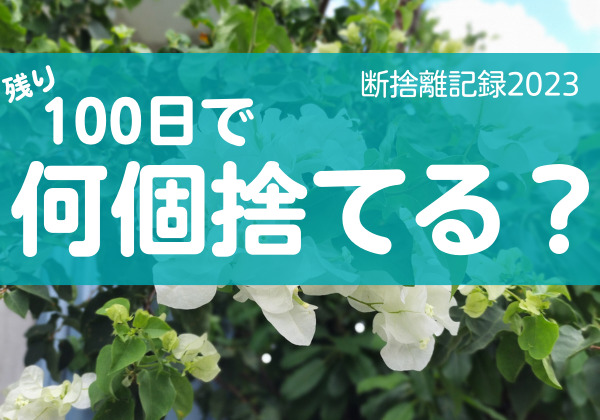 100日で何捨てる？物や思いには旬があることを知る。断捨離記録