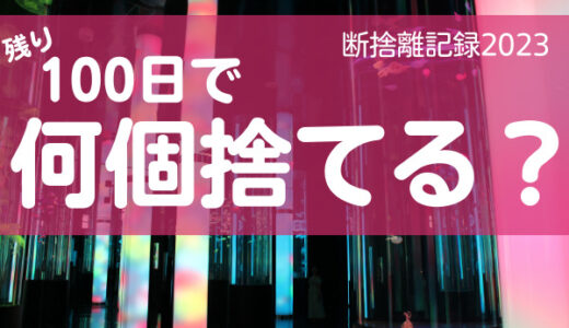 100日で何捨てる？洋服の断捨離は衣替えが絶好の機会。断捨離記録4日目