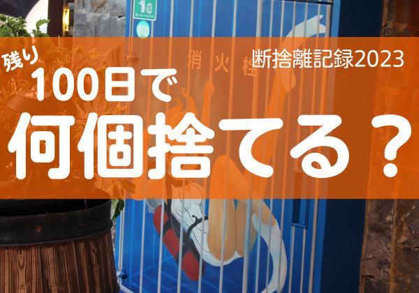 100日で何捨てる？ズボラな自分を肯定しながら手放す。断捨離記録6日目