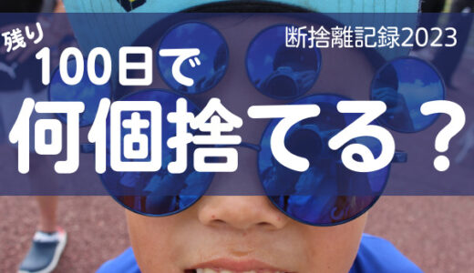 100日で何捨てる？「とりあえず収納」を放置しない。断捨離記録5日目