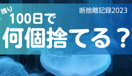 100日で何捨てる？推し活グッズの選び方。断捨離記録8日目