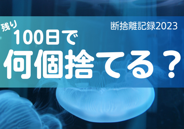 100日で何捨てる？推し活グッズの選び方。断捨離記録8日目