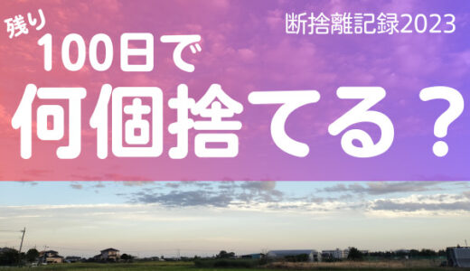 100日で何捨てる？断捨離の入り口は捨てること。断捨離12日目