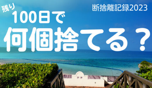 100日で何個捨てる？ついに100個を突破する。断捨離14日目