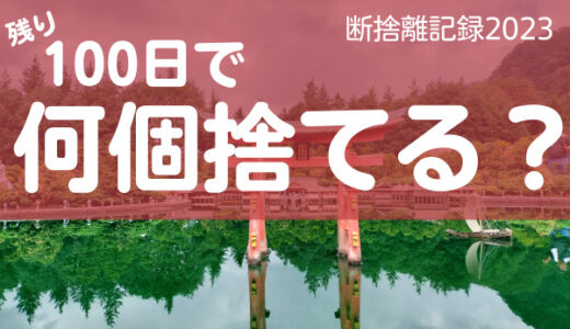 100日で何捨てる？毎月必要なお金はいくら。断捨離記録20日目