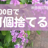 100日で何捨てる？