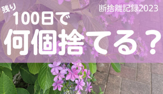 100日で何捨てる？「信頼」と「期待」は別物。断捨離記録32日目。