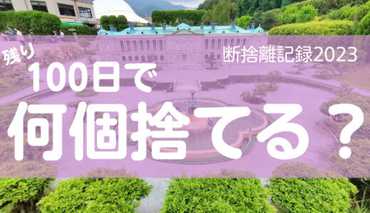 100日で何捨てる？結局ユニクロが最高。断捨離記録44日目。