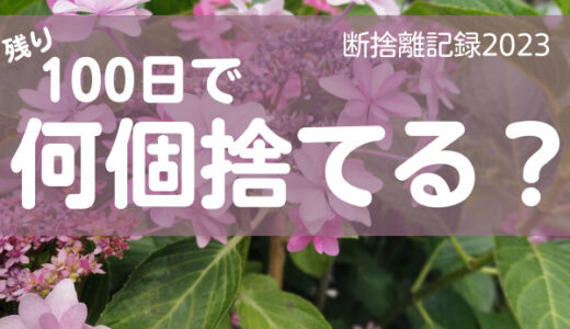 100日で何捨てる？私はストックを持たない理由。断捨離記録37日目