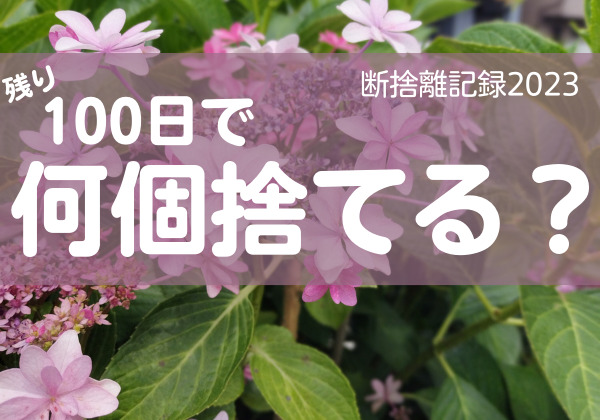 100日で何捨てる？