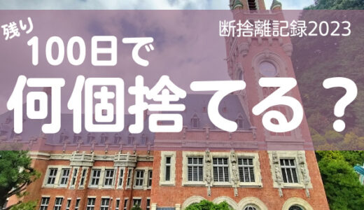 100日で何捨てる？女性は１ヶ月の半分も動けない。断捨離記録49日目。