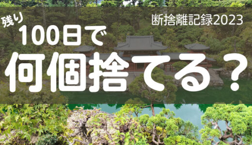 100日で何捨てる？楽して生きていくために捨てるのだ。断捨離記録26日目。