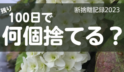 100日で何捨てる？楽しいか楽しくないかで判断していい。断捨離記録38日目