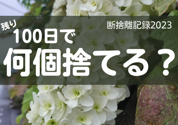 100日で何捨てる？