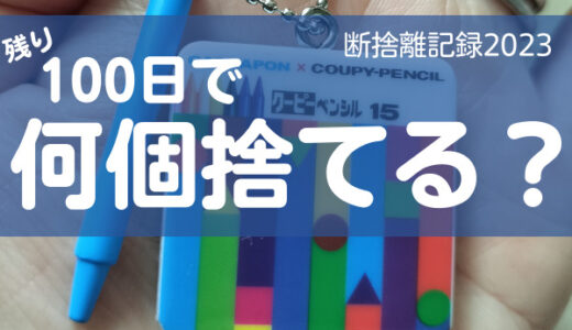 100日で何捨てる？ディズニーに行きたい。断捨離記録40日目。