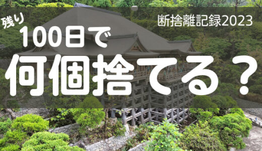 100日で何捨てる？経験にお金を使うと物は増えない。断捨離記録29日目