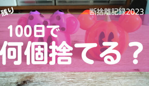 100日で何捨てる？「いつか」は一生来ない。断捨離記録30日目