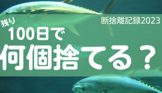 100日で何捨てる？考えられない時は考えなくていい。断捨離記録42日目