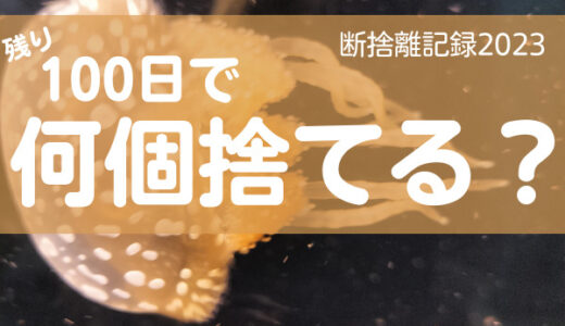 100日で何捨てる？自分を管理できると思ってはいけない。断捨離記録43日目