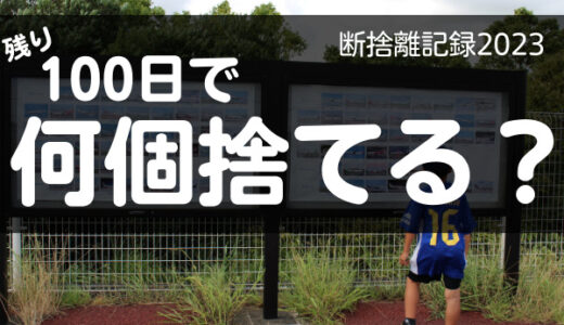 100日で何個捨てる？人にもらったものほど捨てづらい。断捨離記録15日目