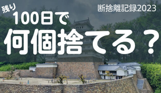 100日で何捨てる？捨てにくいものはまとめて一気に捨てる！断捨離記録21日目