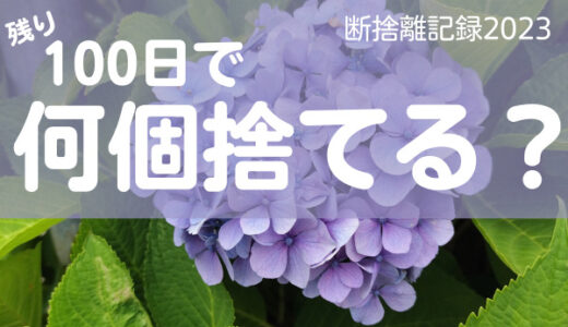 100日で何捨てる？自分が最高の親友で仲間。断捨離記録33日目