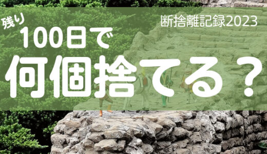 100日で何捨てる？見られたら恥ずかしいものは捨てる。断捨離記録18日目。