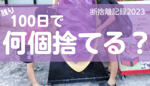 100日で何個捨てる？明日やろうは馬鹿野郎。断捨離記録22日目