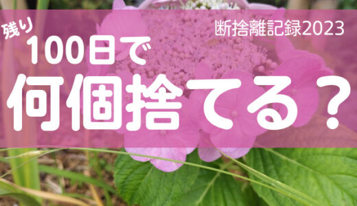 100日で何捨てる？人付き合いは疲れる。断捨離記録34日目