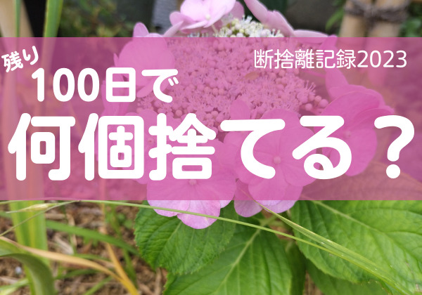 100日で何捨てる？