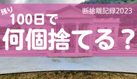 100日で何捨てる？私の全メイク道具紹介。断捨離記録46日目。