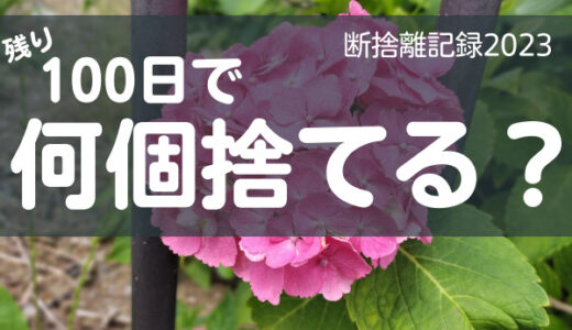 100日で何捨てる？実現したいことはどんどん書く！断捨離記録35日目