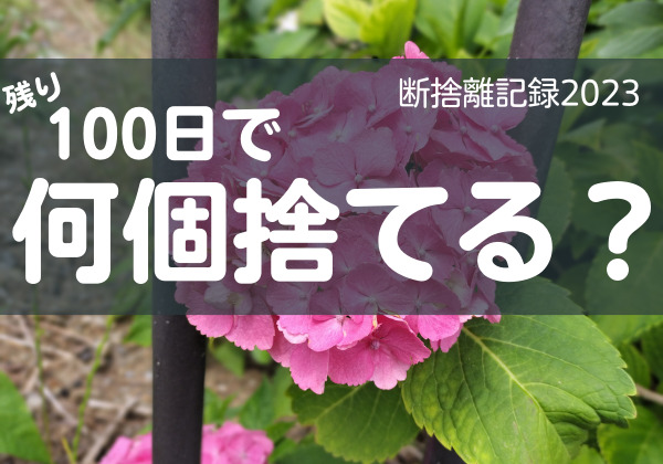 100日で何捨てる？