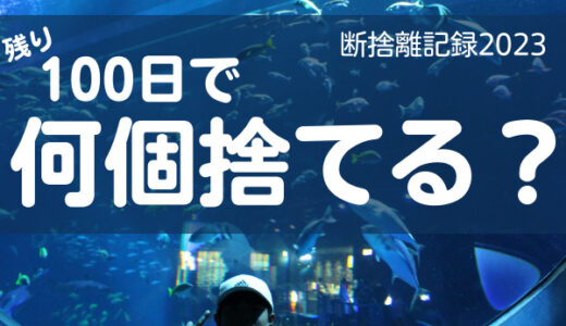 100日で何捨てる？実家の自室を片付ける。断捨離24日目