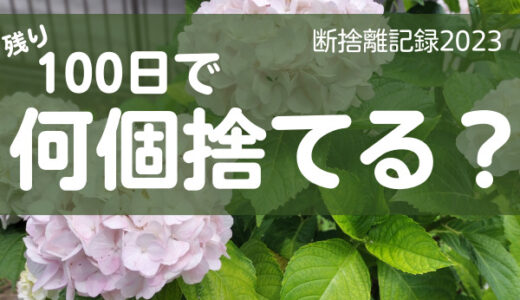 100日で何捨てる？直感と違和感を大事にする。断捨離記録36日目