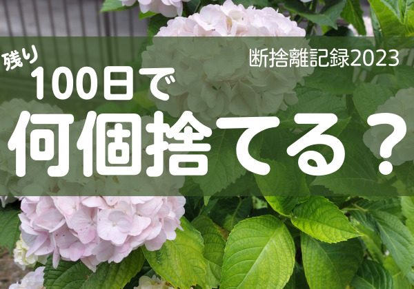 100日で何捨てる？