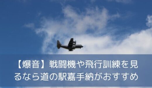 【爆音】戦闘機や飛行訓練を見るなら道の駅嘉手納がおすすめ